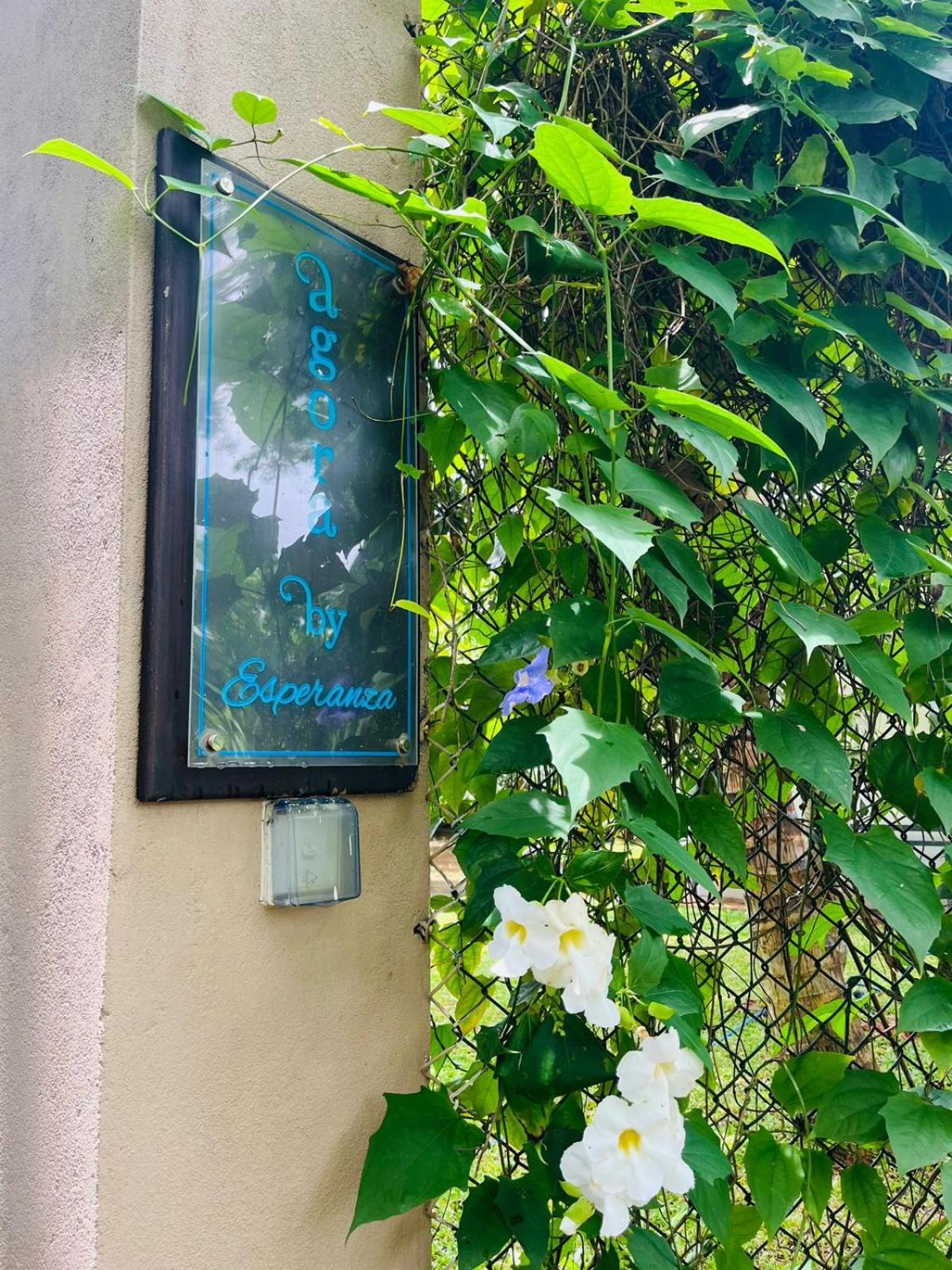 טנגלה Agora Villa By Esperanza מראה חיצוני תמונה