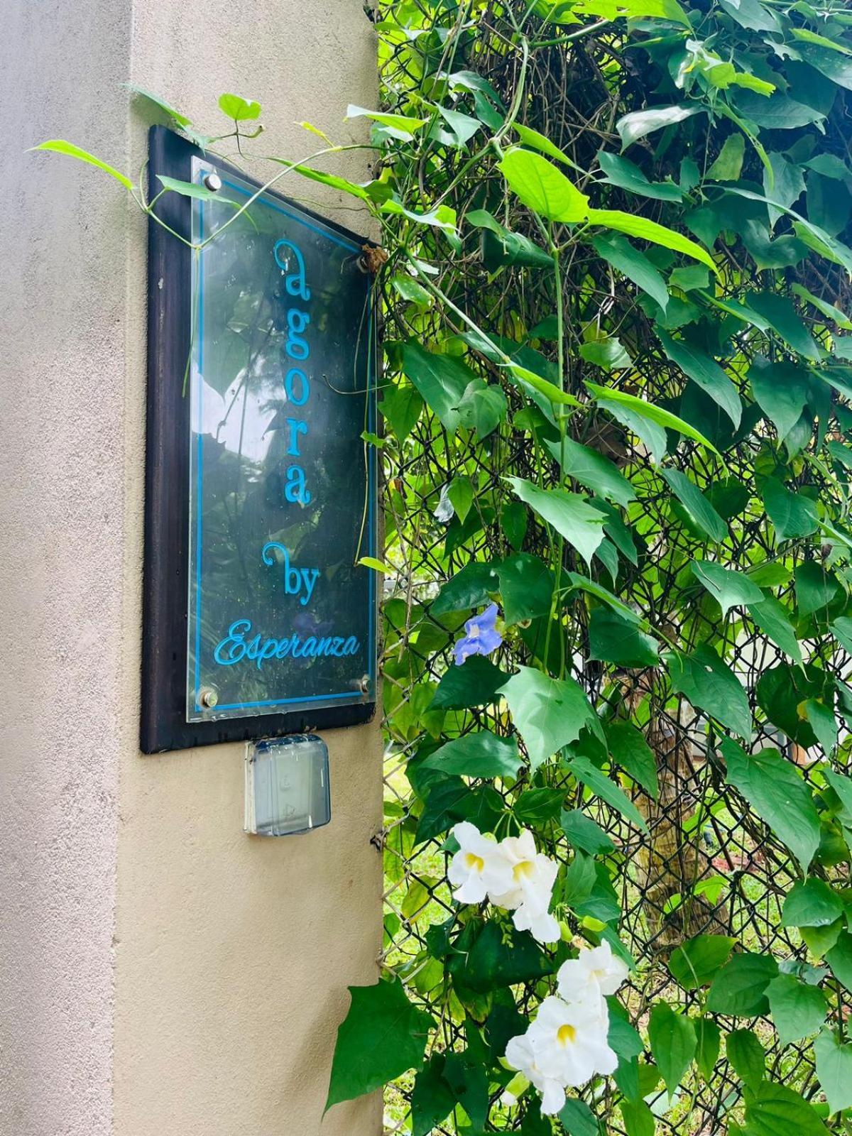 טנגלה Agora Villa By Esperanza מראה חיצוני תמונה